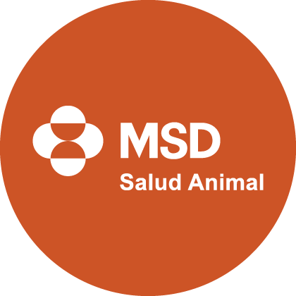 MSD_BLANCO